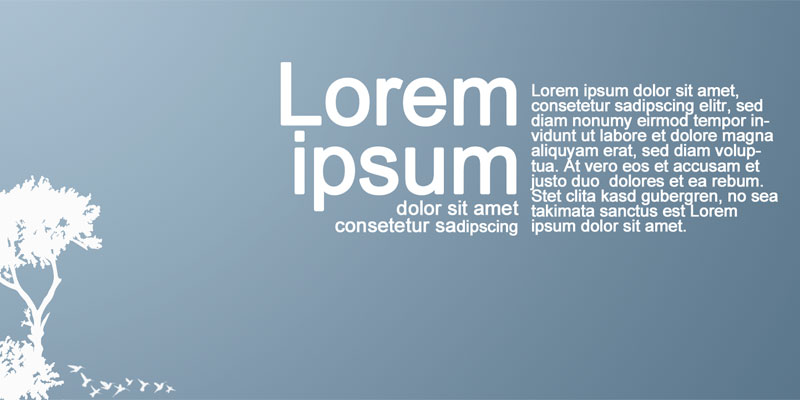 Lorem Ipsum ¿Por qué lo usamos?